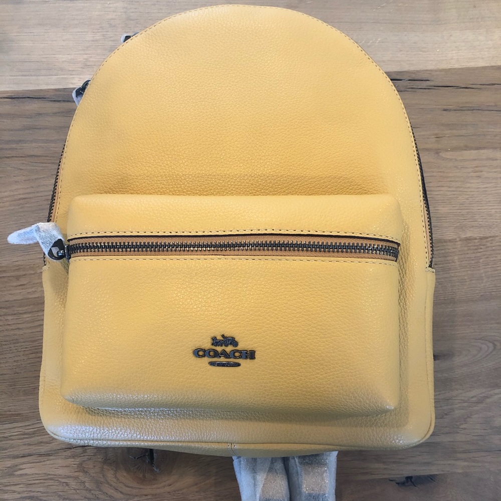 Coach leather backpack